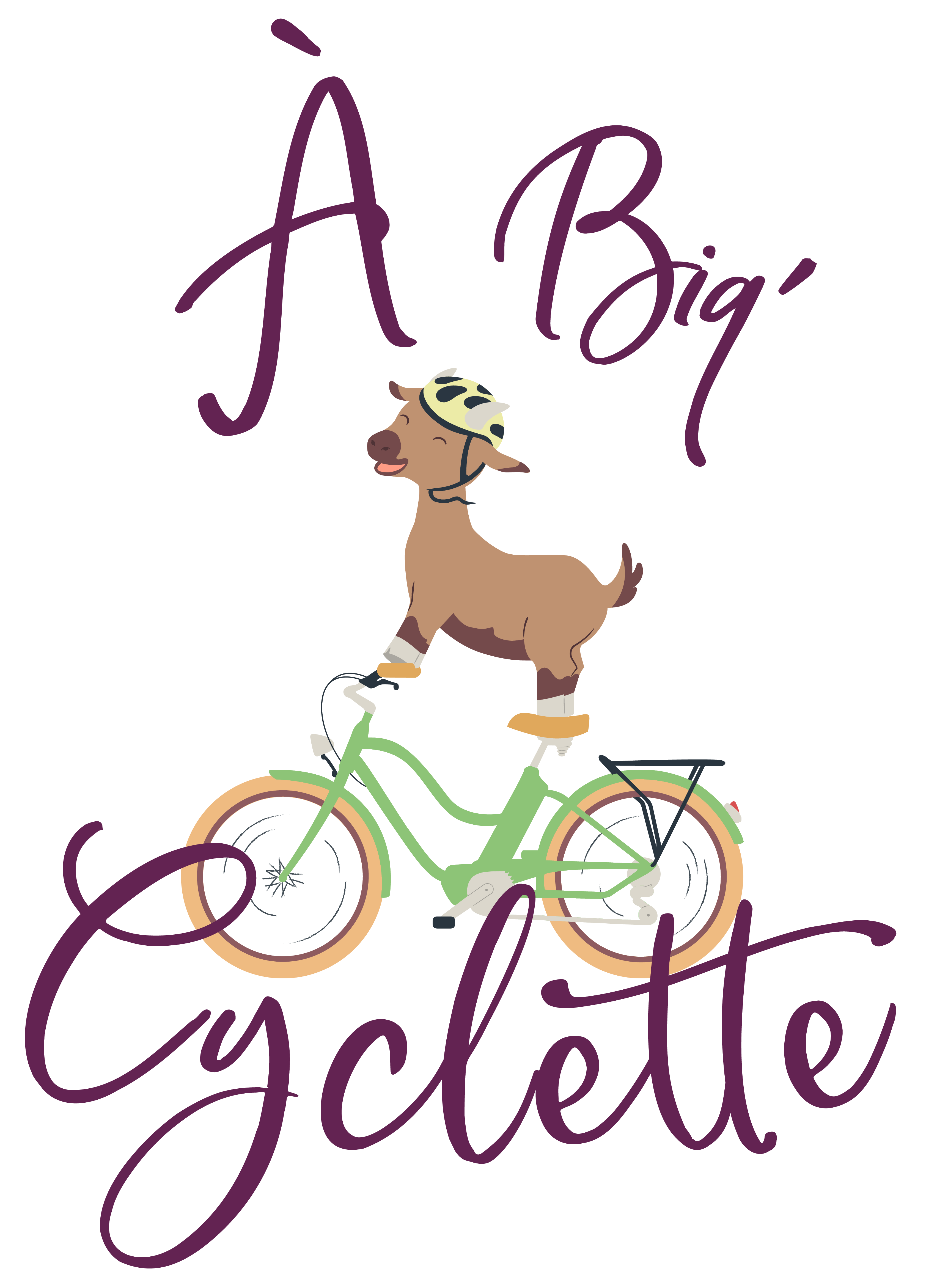 logo a biq'cyclette