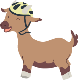 A_Biq_cyclette_velo2